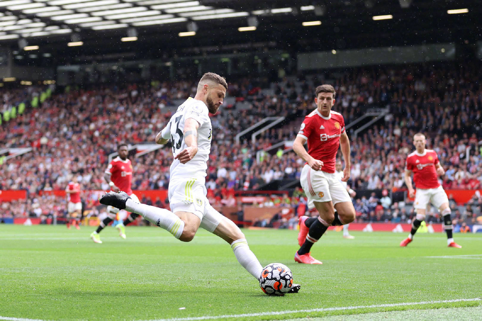 这种不屈的 这种不屈的