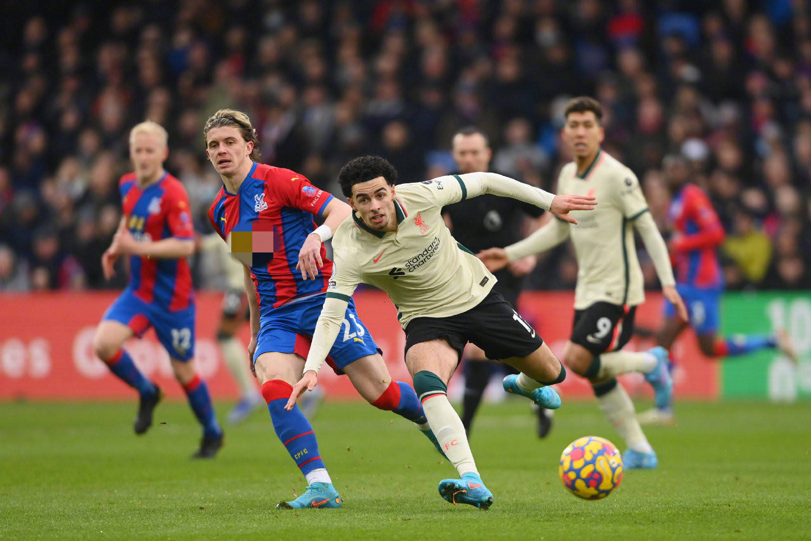 細膩的暗紋 細膩的暗紋